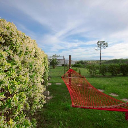 Aparthotel Fattoria Maremmana Marina di Grosseto Zewnętrze zdjęcie