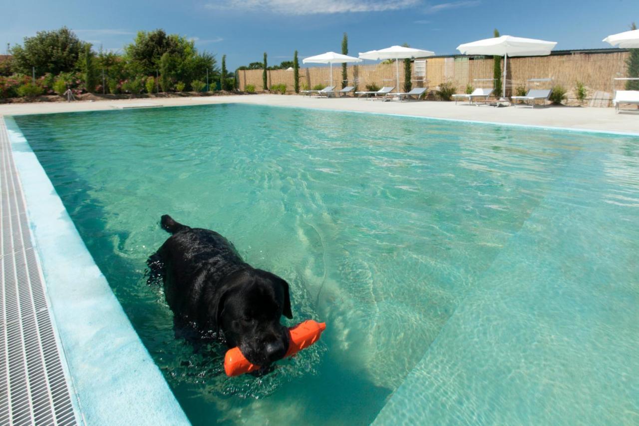 Aparthotel Fattoria Maremmana Marina di Grosseto Zewnętrze zdjęcie