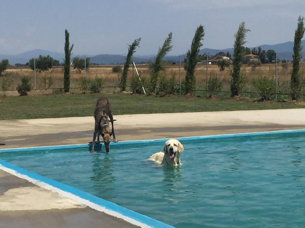 Aparthotel Fattoria Maremmana Marina di Grosseto Zewnętrze zdjęcie